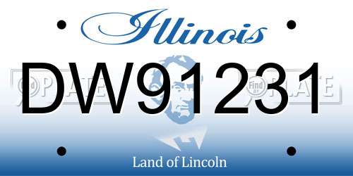 DW91231 Illinois License Plate