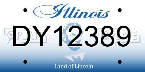 DY12389 Illinois License Plate