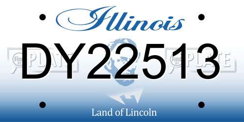 DY22513 Illinois License Plate
