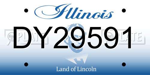 DY29591 Illinois License Plate