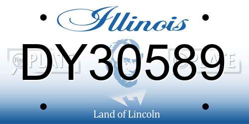 DY30589 Illinois License Plate
