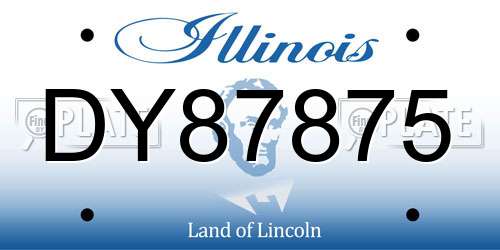 DY87875 Illinois License Plate