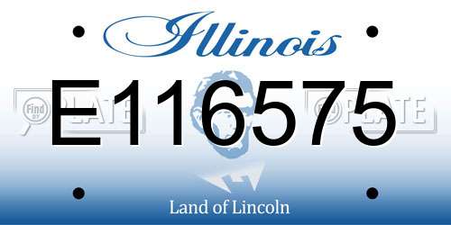 E116575 Illinois License Plate