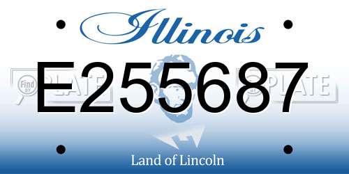 E255687 Illinois License Plate