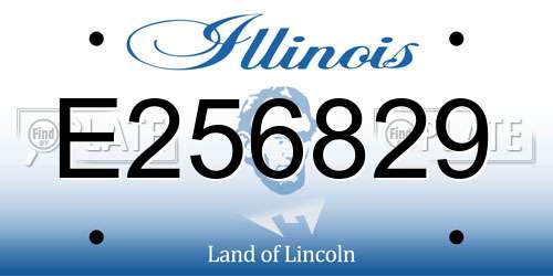 E256829 Illinois License Plate