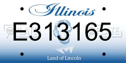 E313165 Illinois License Plate