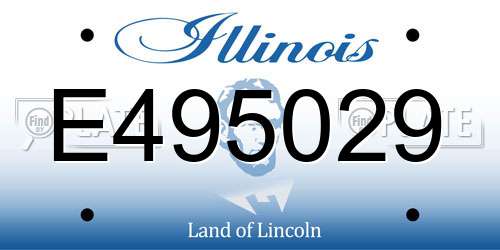 E495029 Illinois License Plate