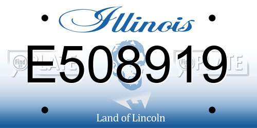 E508919 Illinois License Plate