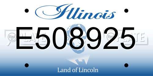 E508925 Illinois License Plate