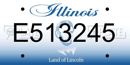 E513245 Illinois License Plate