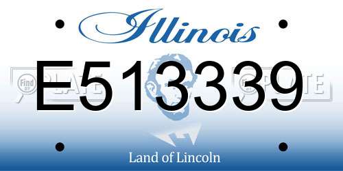 E513339 Illinois License Plate