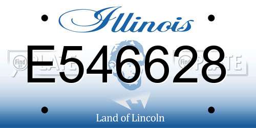 E546628 Illinois License Plate