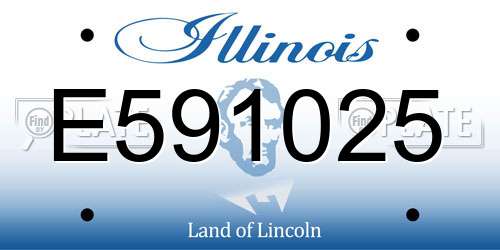 E591025 Illinois License Plate