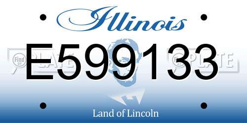 E599133 Illinois License Plate