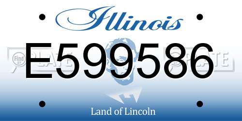 E599586 Illinois License Plate