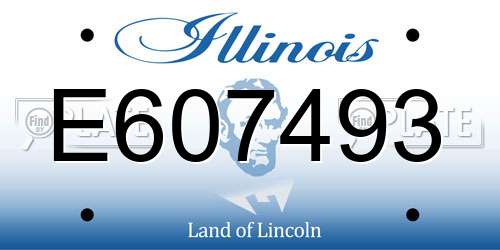 E607493 Illinois License Plate