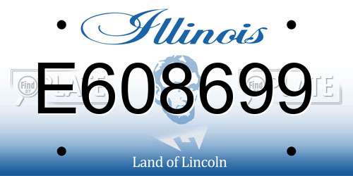 E608699 Illinois License Plate