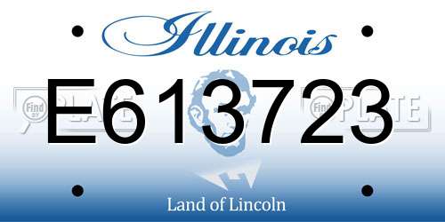 E613723 Illinois License Plate