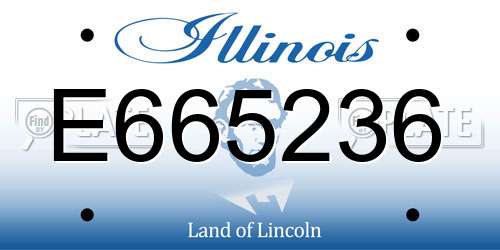 E665236 Illinois License Plate