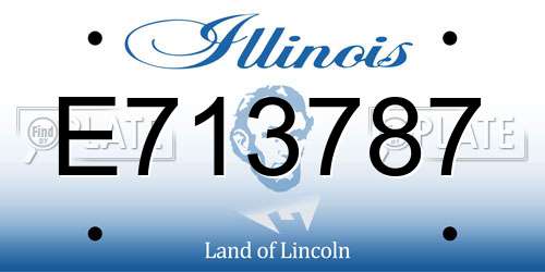 E713787 Illinois License Plate