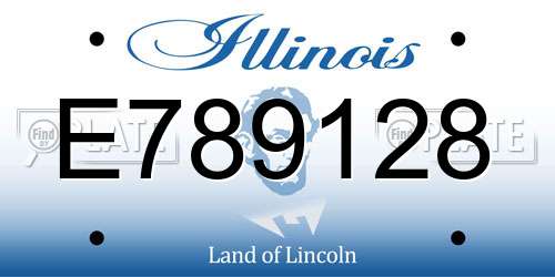 E789128 Illinois License Plate