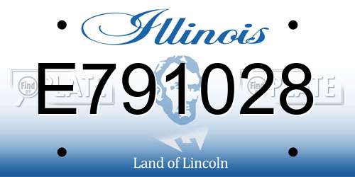 E791028 Illinois License Plate