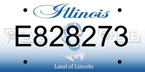 E828273 Illinois License Plate