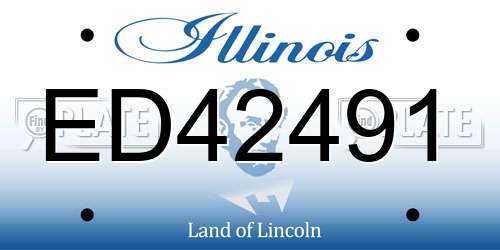 ED42491 Illinois License Plate