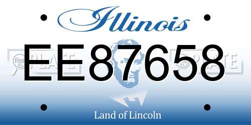 EE87658 Illinois License Plate