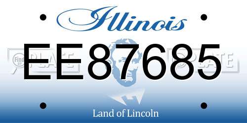 EE87685 Illinois License Plate