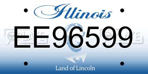 EE96599 Illinois License Plate
