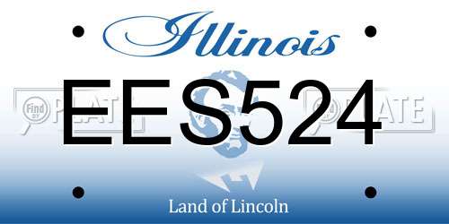 EES524 Illinois License Plate