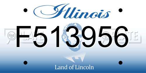 F513956 Illinois License Plate