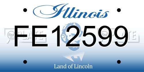 FE12599 Illinois License Plate
