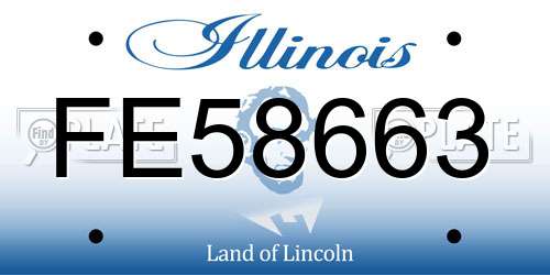 FE58663 Illinois License Plate