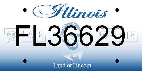 FL36629 Illinois License Plate