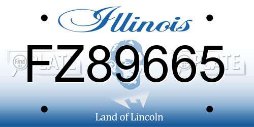 FZ89665 Illinois License Plate