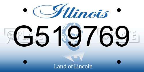 G519769 Illinois License Plate