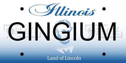GINGIUM Illinois License Plate