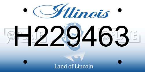 H229463 Illinois License Plate
