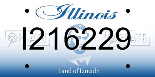 I216229 Illinois License Plate