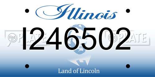 I246502 Illinois License Plate