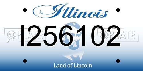 I256102 Illinois License Plate