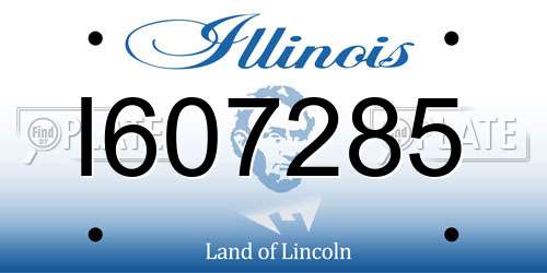 I607285 Illinois License Plate