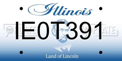 IE0T391 Illinois License Plate