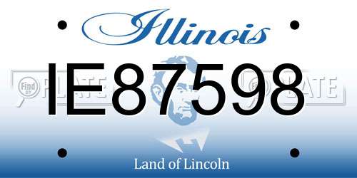IE87598 Illinois License Plate