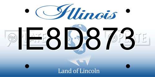 IE8D873 Illinois License Plate