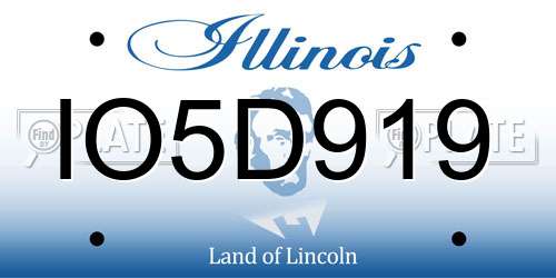 IO5D919 Illinois License Plate