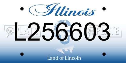 L256603 Illinois License Plate