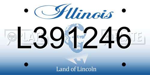 L391246 Illinois License Plate